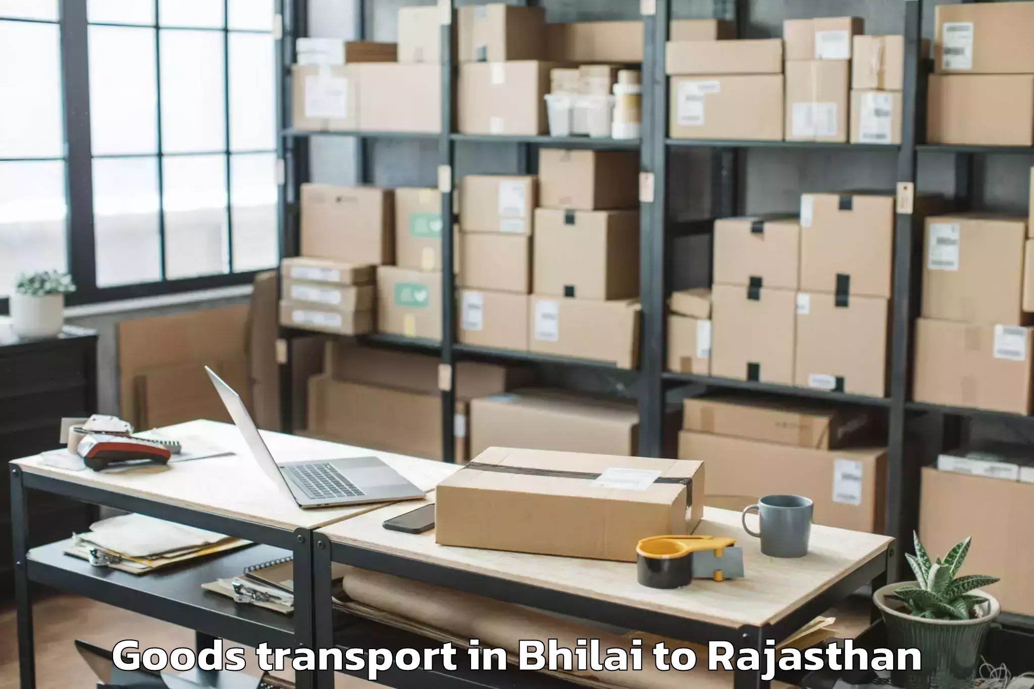 Book Your Bhilai to Kota Goods Transport Today